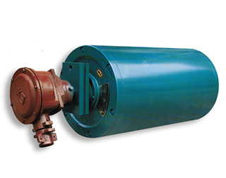 防爆電動(dòng)滾筒電機(jī)溫度過高的原因